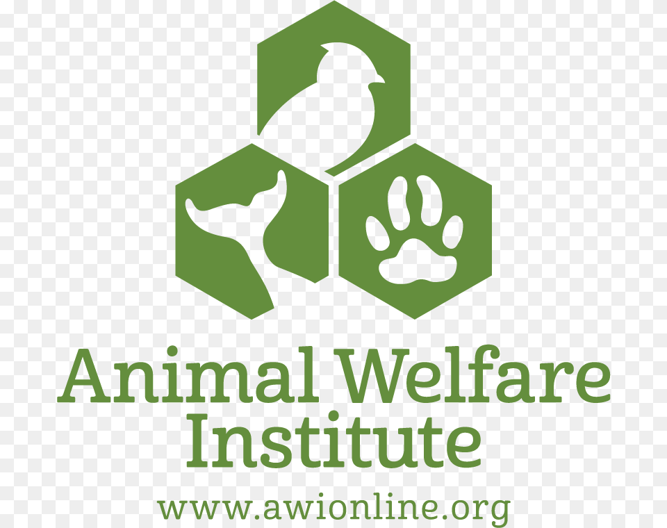 Awi Logo Vertical Green Animal Welfare Institute, Recycling Symbol, Symbol, Bird Free Png Download