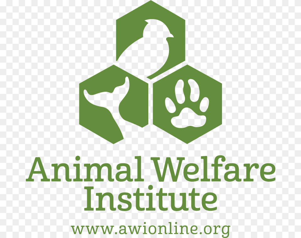 Awi Logo Vertical Green Graphic Design, Recycling Symbol, Symbol, Animal, Bird Free Transparent Png