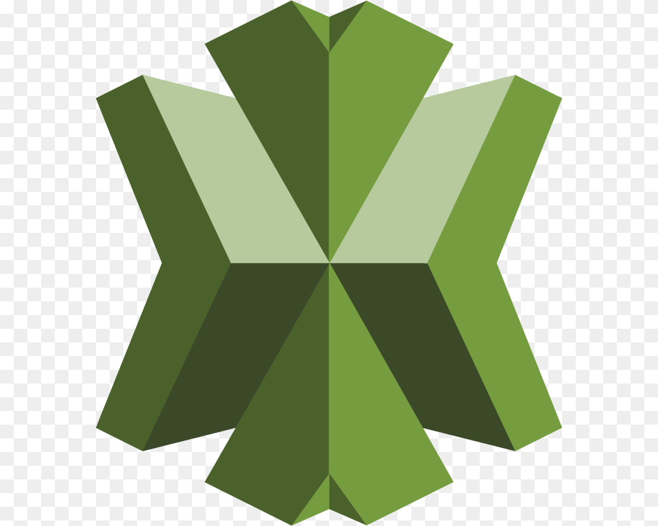 Aws X Ray Aws X Ray Logo, Green, Leaf, Plant, Accessories Png Image