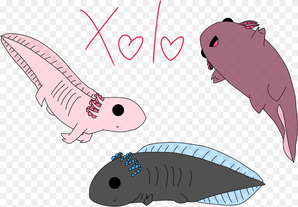 Axolotl Doodles Illustration, Animal, Fish, Sea Life, Shark Free Transparent Png