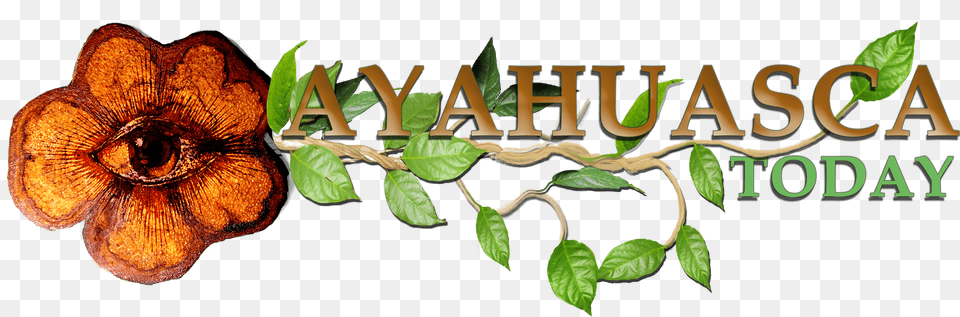 Ayahuasca Today Logo Large Png Image