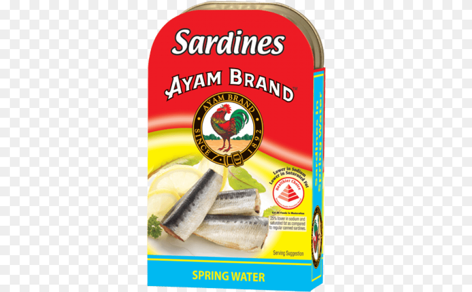 Ayam Brand Sardines In Spring Water 120g Ayam Brand, Animal, Sea Life, Poultry, Herring Png Image