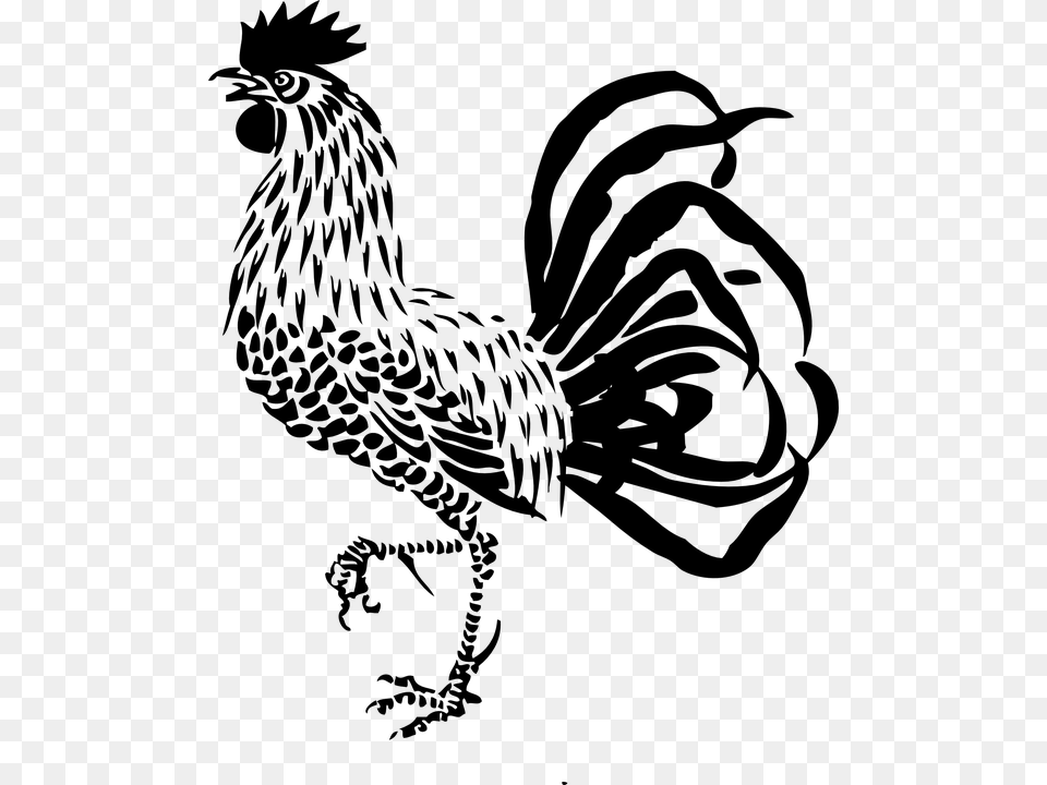 Ayam Jago Ayam Jantan Unggas Pertanian Ayam Bujang Rooster Clipart Black And White, Gray Png