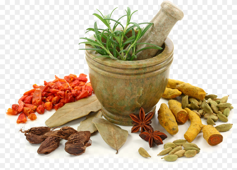 Ayurveda Ayurvedic, Herbal, Herbs, Plant, Food Free Transparent Png