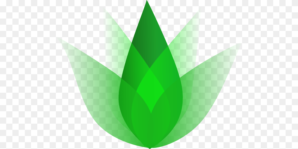 Ayurveda Vector Leaf, Herbs, Plant, Green, Herbal Free Png