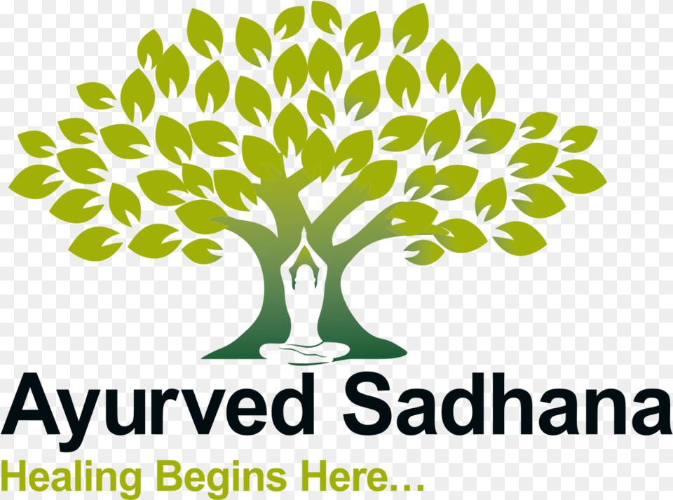 Ayurvedic Doctor Programs U2014 National Medical Drawing Buddha With Tree, Green, Vegetation, Plant, Art Free Transparent Png