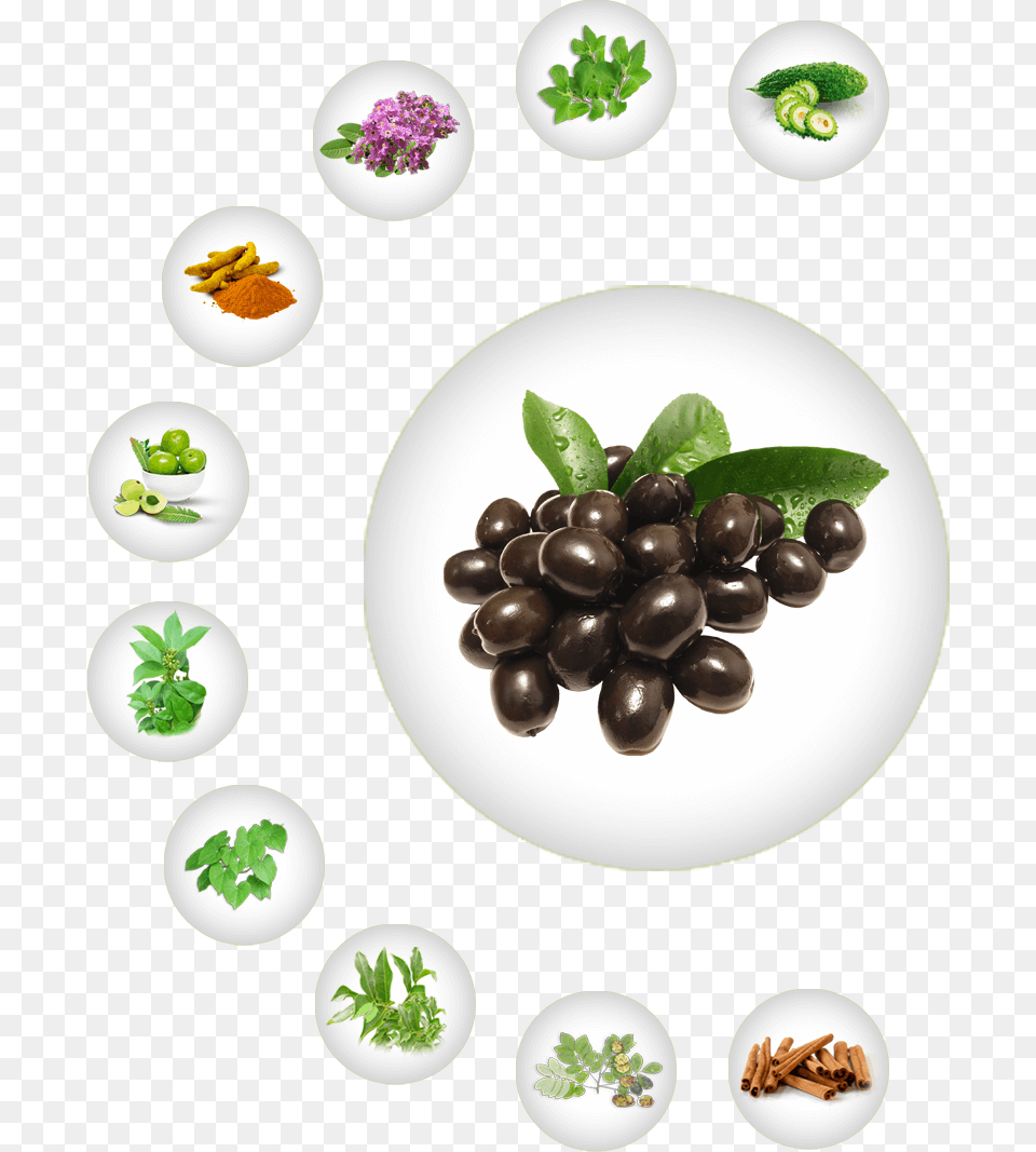 Ayurvedic Herb For Diabetes Natural Herb For Diabetes Olive, Plant, Herbal, Herbs, Leaf Free Png Download