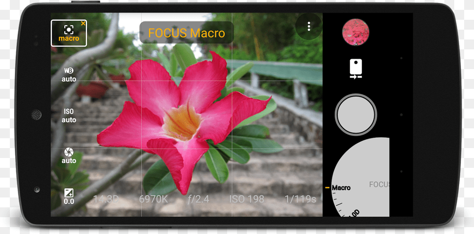 Az Camera, Flower, Petal, Plant, Electronics Free Transparent Png