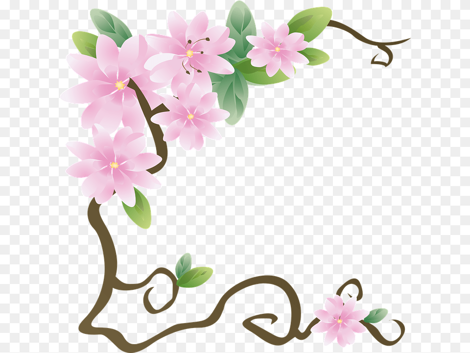 Azalea Flowers Spring, Flower, Plant, Cherry Blossom Png