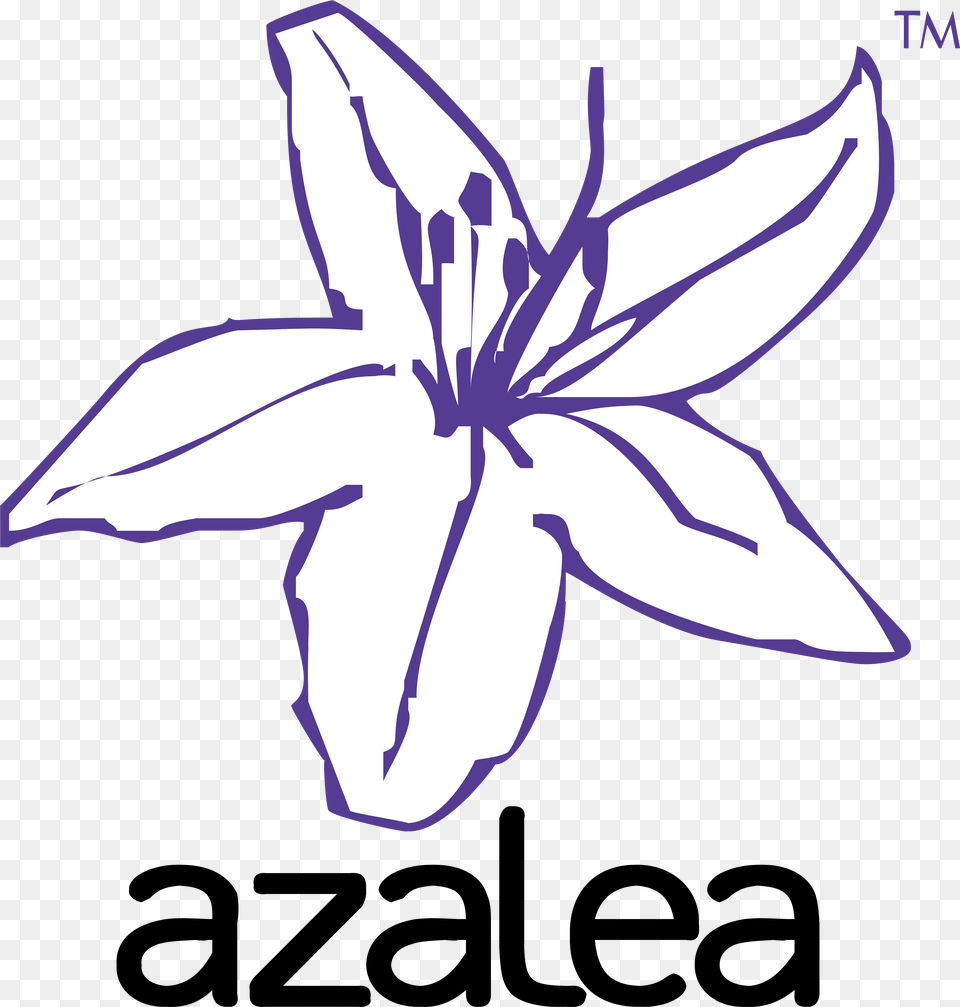 Azalea Software Azalea Flower Vector, Anther, Plant, Animal, Fish Free Png Download