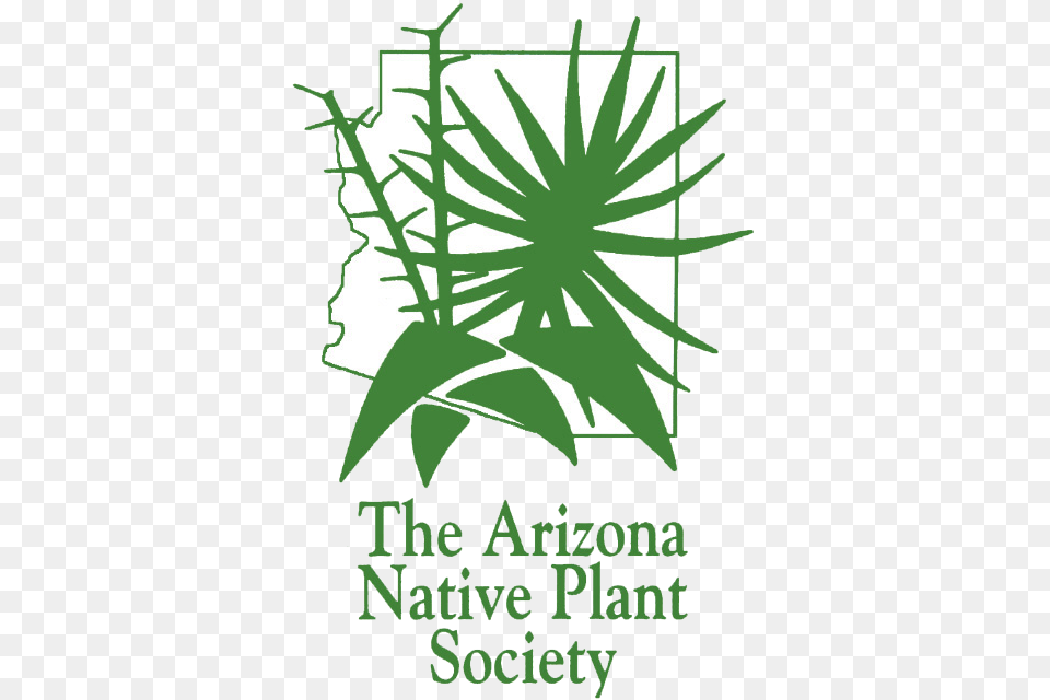 Aznps Logo White Background Arizona Native Plant Society, Herbal, Herbs, Grass, Vegetation Free Png Download