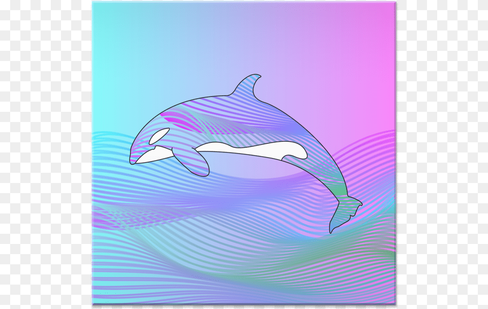Azulejo O R C A De Mat Cvlcntna Common Bottlenose Dolphin, Animal, Mammal, Sea Life, Fish Png Image