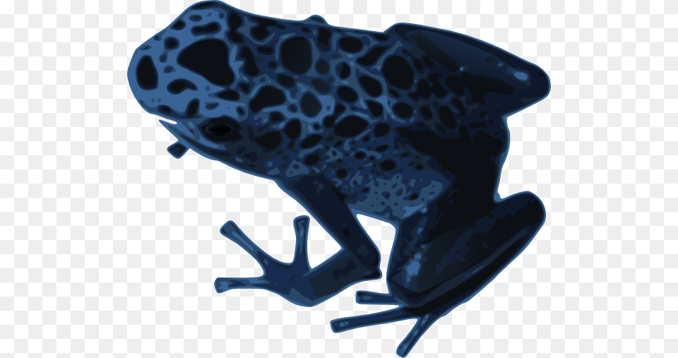 Azureus Frog Clip Art, Amphibian, Animal, Wildlife, Fish Free Transparent Png