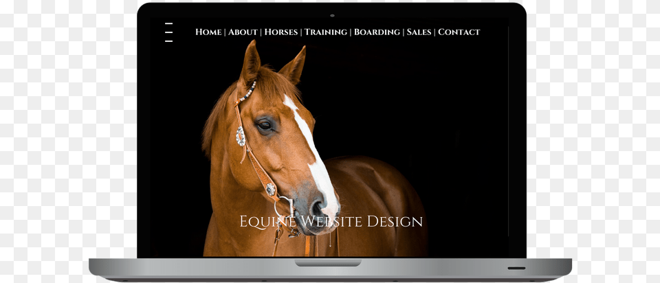 B Brown Horse, Animal, Mammal, Colt Horse, Electronics Free Png Download