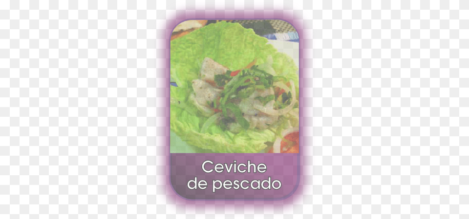 B Ceviche 1 Cabbage, Food, Lunch, Meal, Produce Png Image