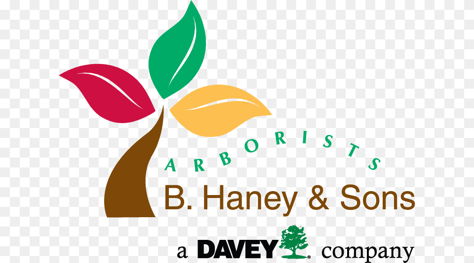 B Haney And Sons Arborists, Herbal, Herbs, Leaf, Plant Free Png