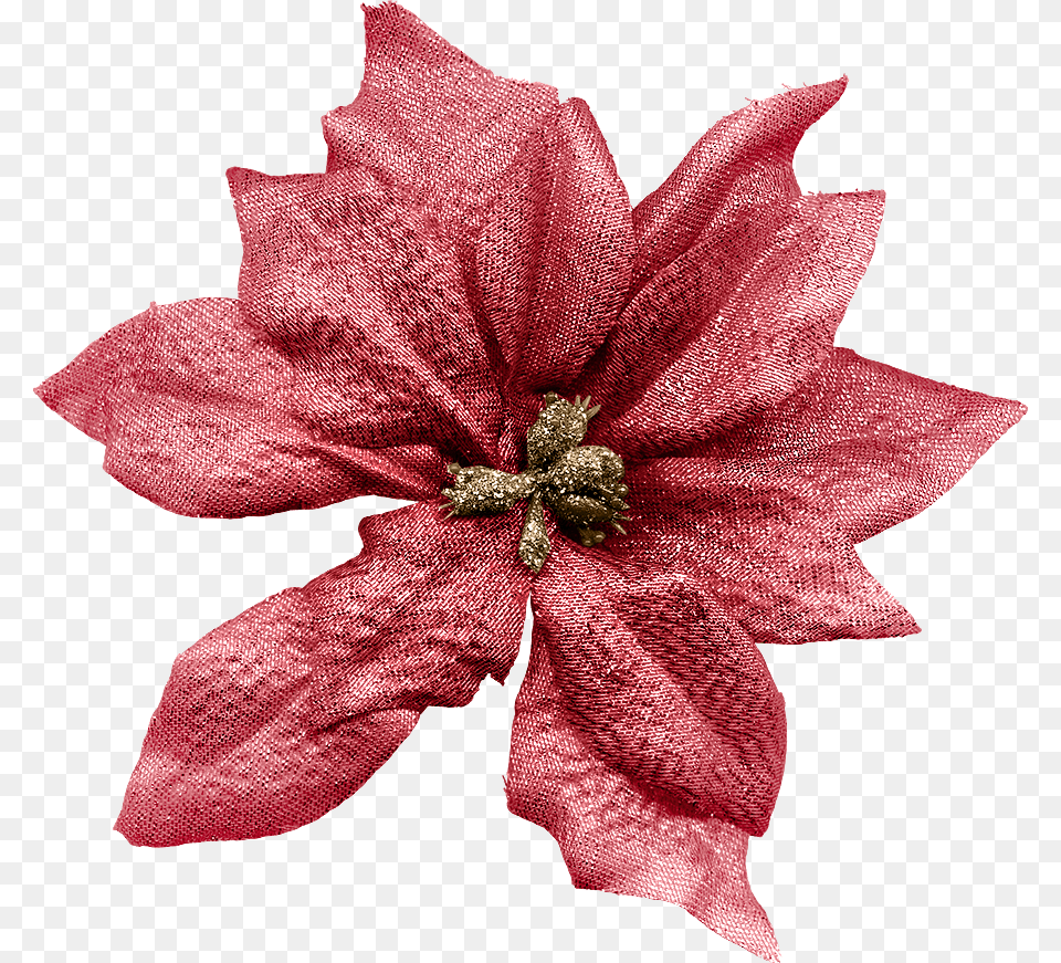 B Holly Jolly Christmas Poinsettia, Flower, Plant, Dahlia, Accessories Free Transparent Png