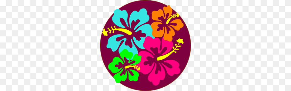 B Images Icon Cliparts, Flower, Plant, Hibiscus Free Transparent Png