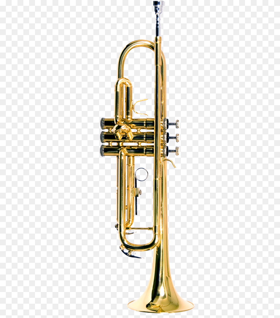 B Usa Wtrlq Trumpet Lacquer Gold Color B Usa Trumpet, Brass Section, Flugelhorn, Horn, Musical Instrument Png Image