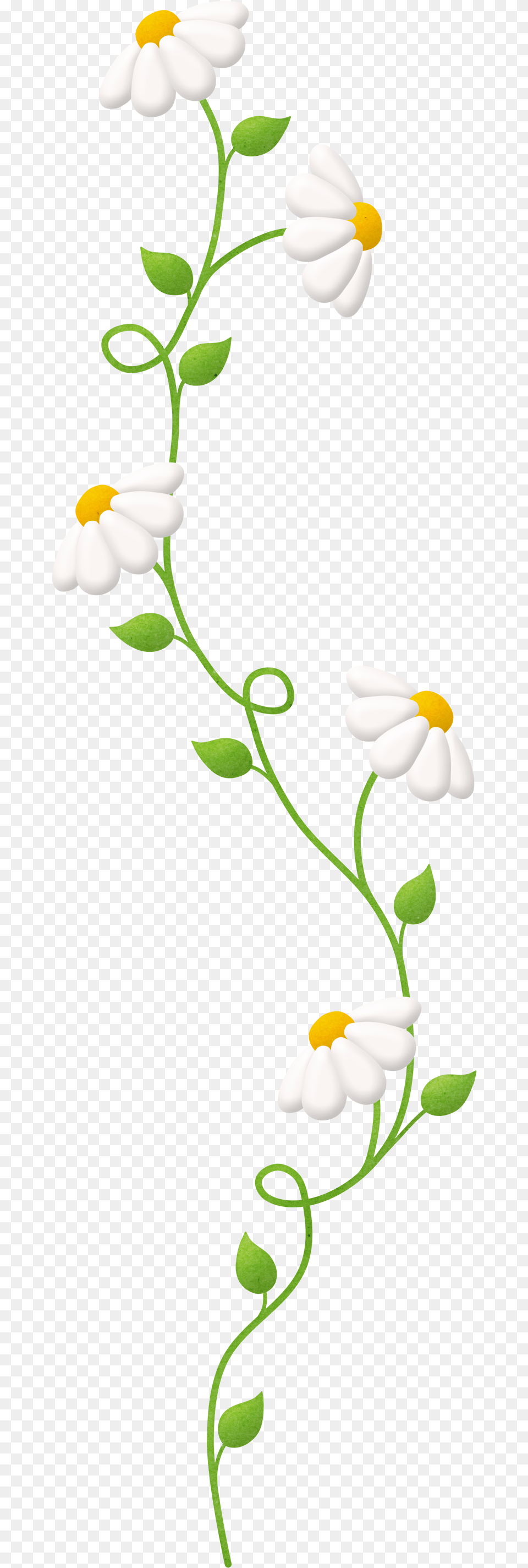 B Vertical Flower Border, Daisy, Plant, Art, Floral Design Free Png Download