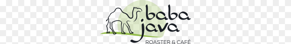 Baba Java Roaster Cafe, Baby, Person, Animal, Text Free Png Download