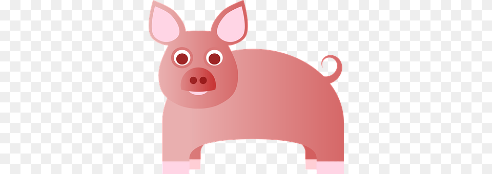 Babe Animal, Mammal, Baby, Person Png