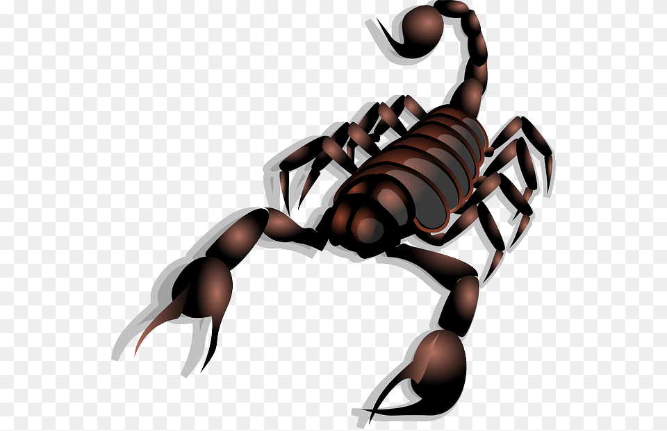 Babelstone Whats New In Unicode, Animal, Invertebrate, Scorpion, Appliance Free Png