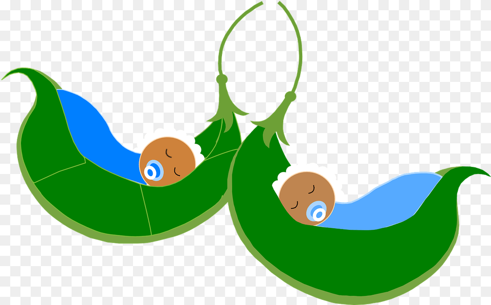 Babies Sleeping Cradle Free Picture Two Peas In A Pod Baby, Green, Food, Fruit, Plant Png Image