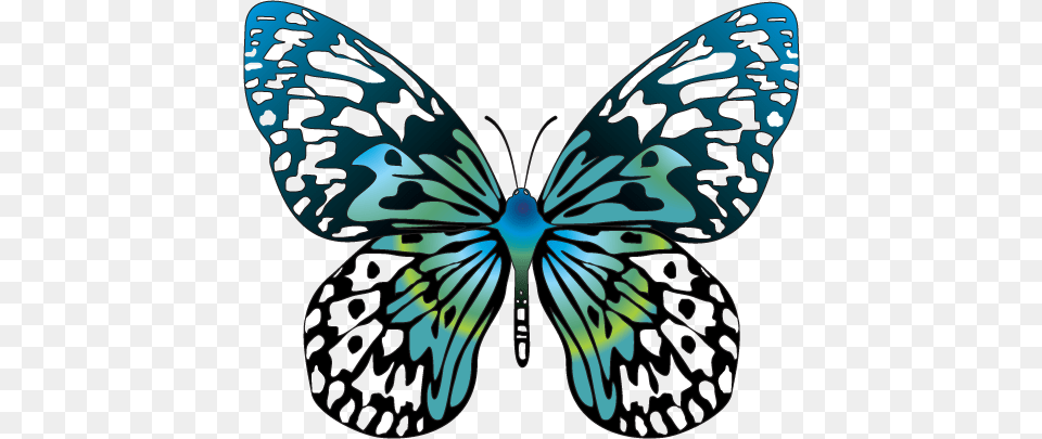 Babochki Butterfly Butterfly Clip Art, Animal, Insect, Invertebrate, Person Png Image
