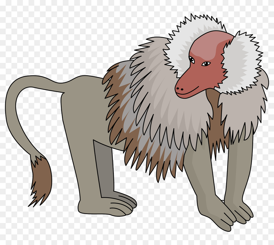 Baboon Clipart, Animal, Mammal, Monkey, Wildlife Free Transparent Png