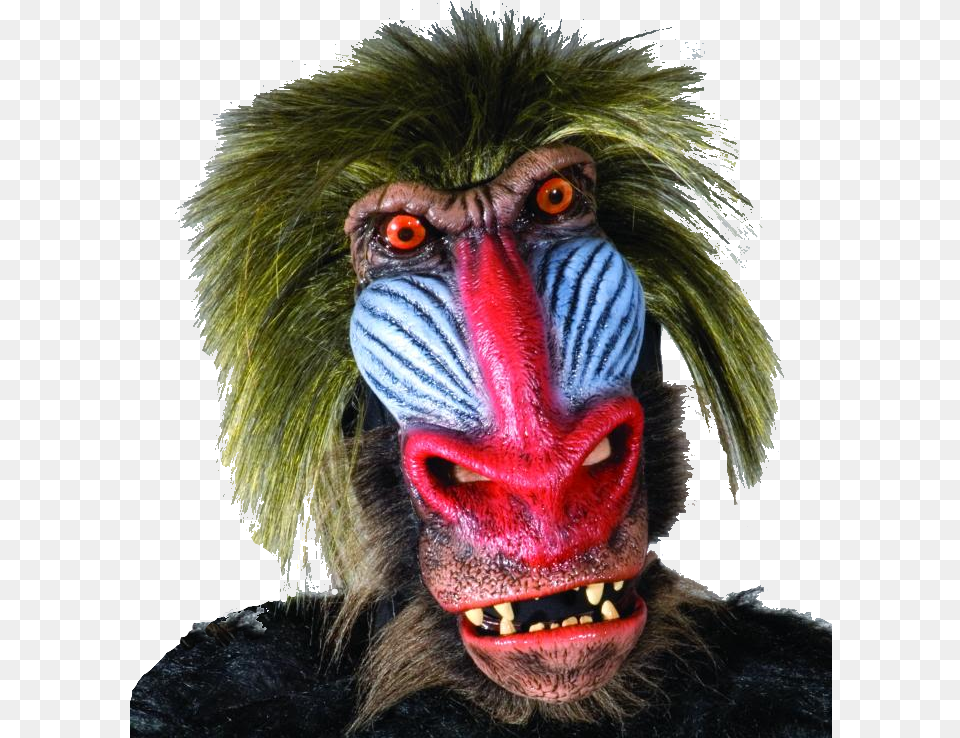 Baboon Moving Mouth Mask Baboon Halloween Adult Latex Mask, Mammal, Animal, Wildlife, Monkey Free Png