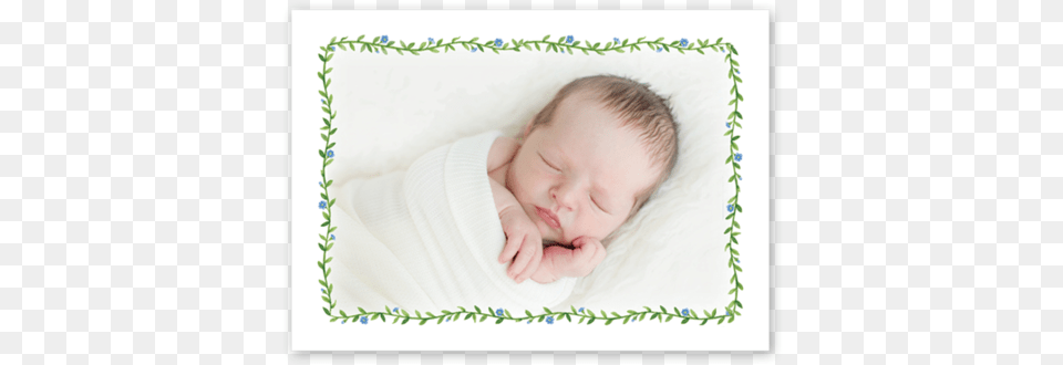 Baby, Person, Newborn, Photography, Portrait Free Png