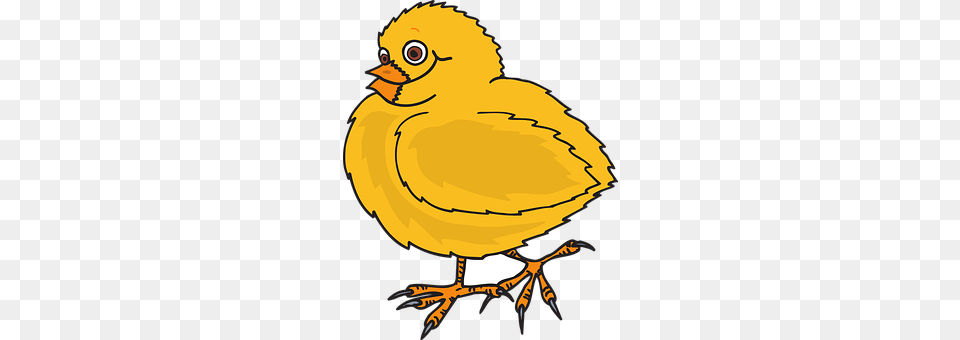 Baby Animal, Beak, Bird, Fish Free Png