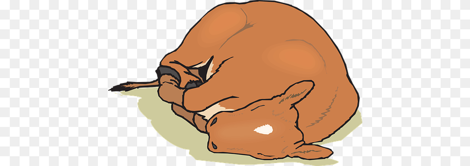 Baby Person, Animal, Mammal, Face Free Transparent Png