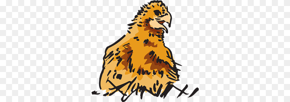 Baby Animal, Bird, Person, Vulture Free Png Download