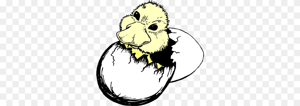 Baby Animal, Beak, Bird Free Transparent Png