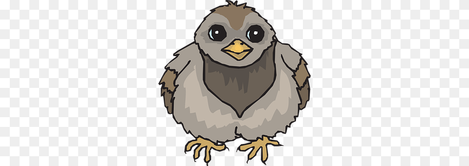 Baby Person, Animal, Beak, Bird Png Image