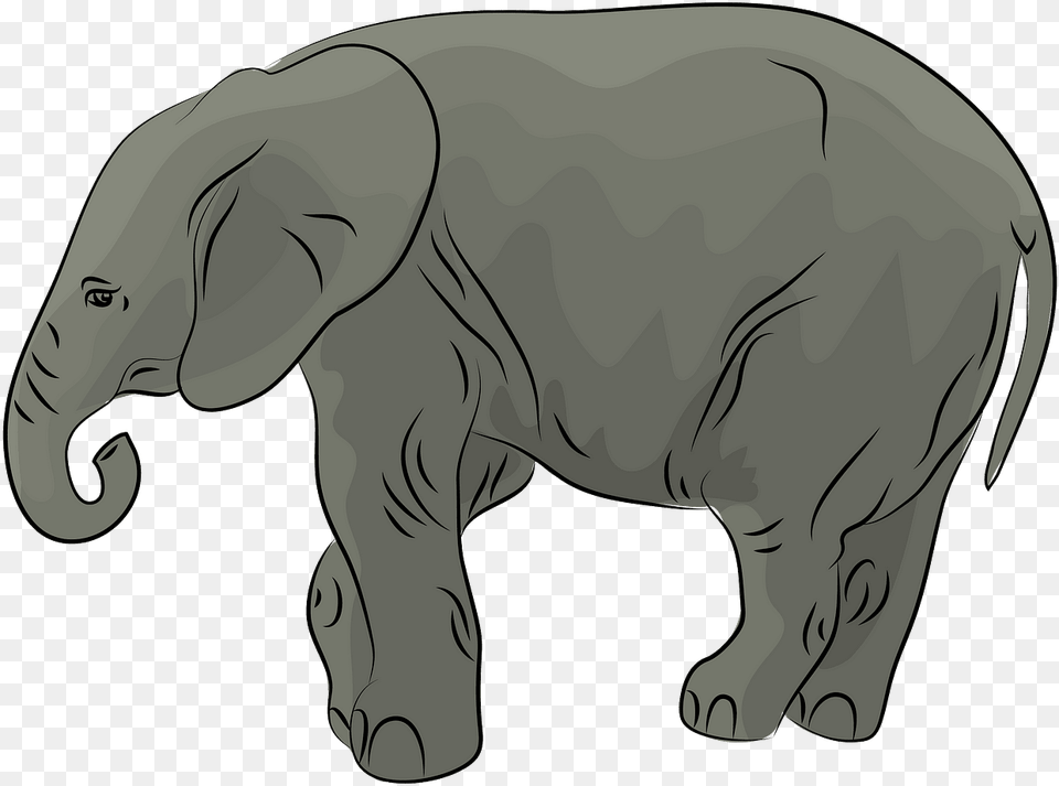 Baby African Elephant Clipart Elephant Clipart, Animal, Wildlife, Mammal, Person Free Png