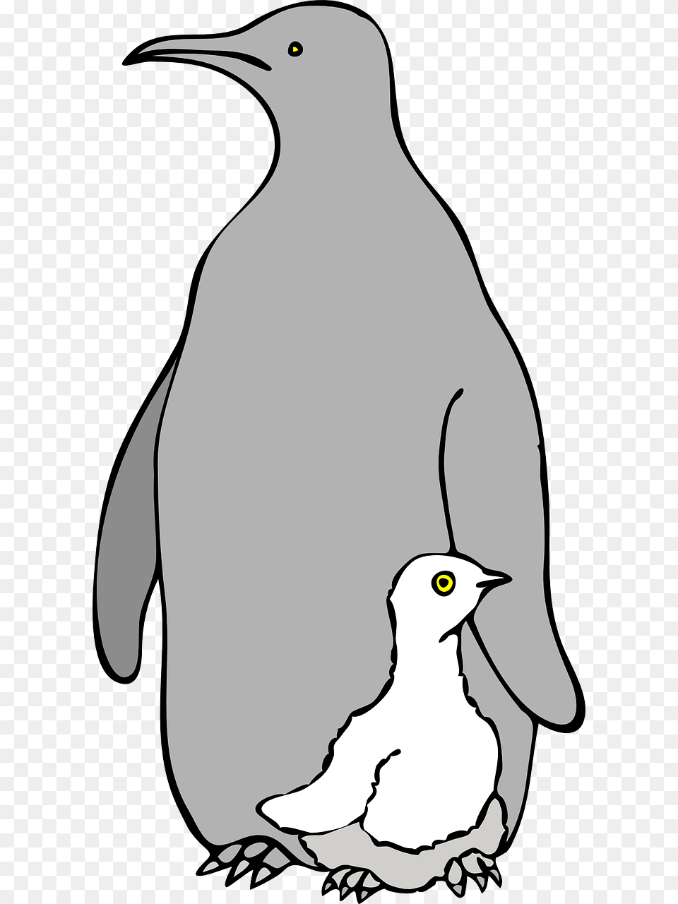 Baby And Mommy Animals Outline, Animal, Bird, Penguin, Person Free Png