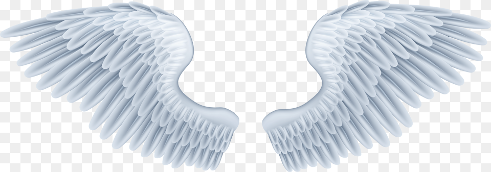 Baby Angel Wings Free Png Download