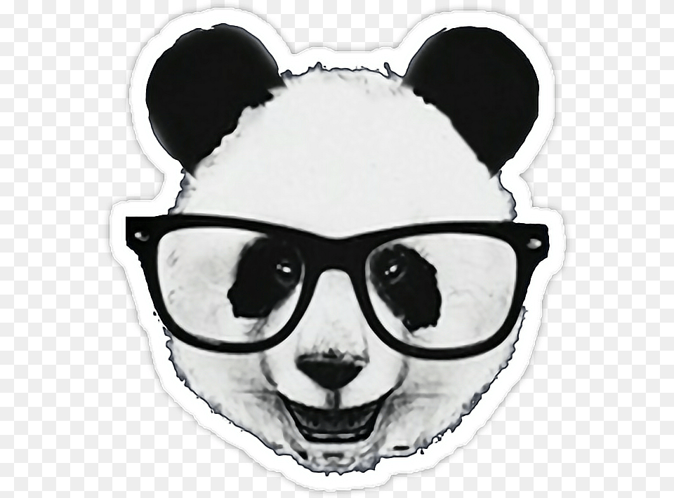 Baby Animals Animales Emoticon Hipster Tumblr Panda Hipster, Accessories, Glasses, Sunglasses, Adult Png Image