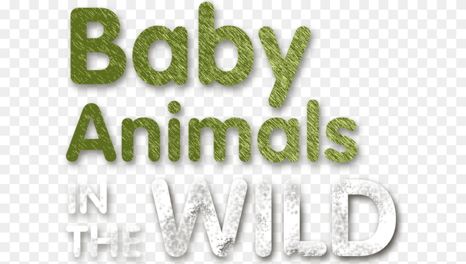 Baby Animals In The Wild Graphic Design, Green, Text, Book, Publication Free Png