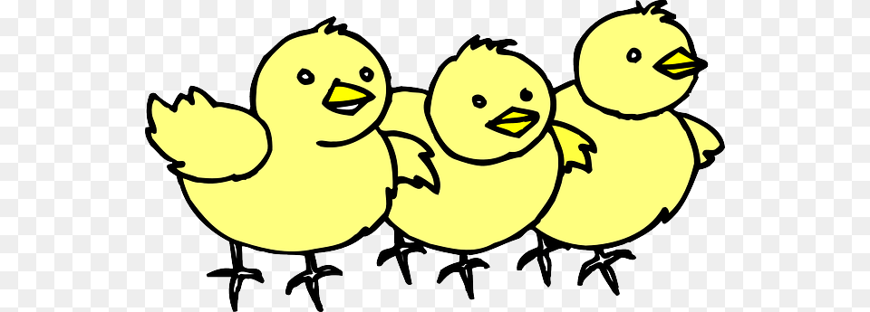Baby Barn Farm Chicken Line Art Chicks Chick, Person, Animal, Bird, Fowl Free Png