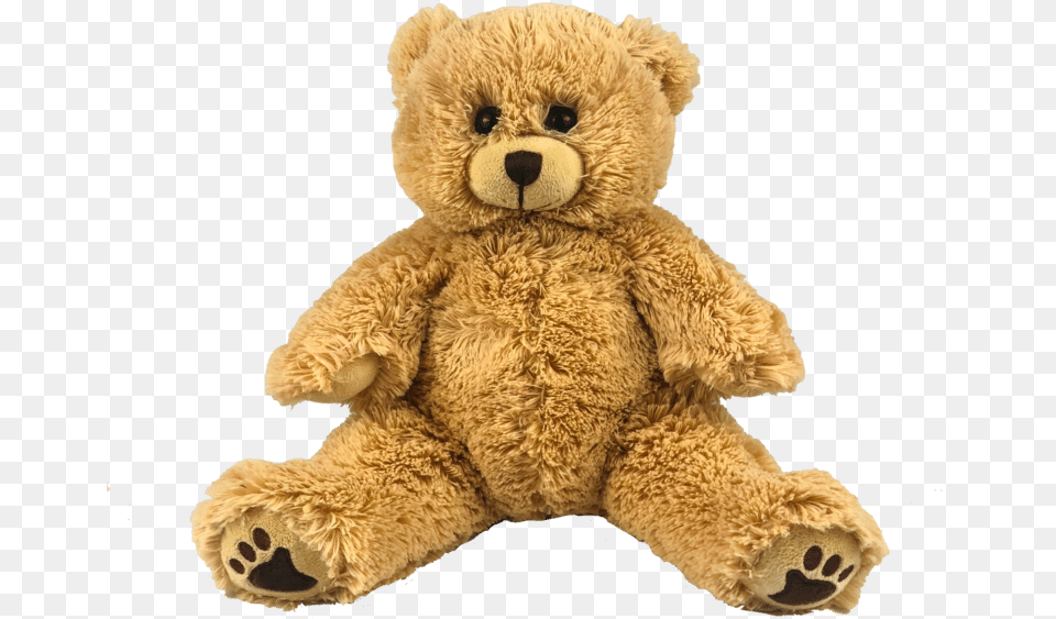 Baby Bear, Teddy Bear, Toy Free Png