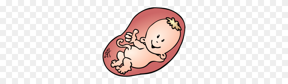 Baby Belly Baby Belly Images, Face, Head, Person, Food Free Transparent Png