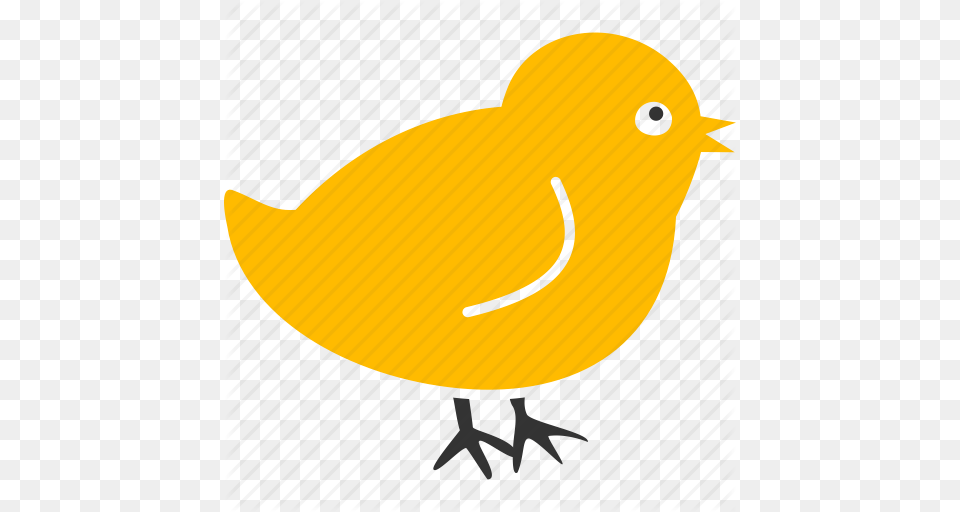 Baby Bird Chick Chicken Nestling New Small Icon, Animal, Canary, Fish, Sea Life Free Png