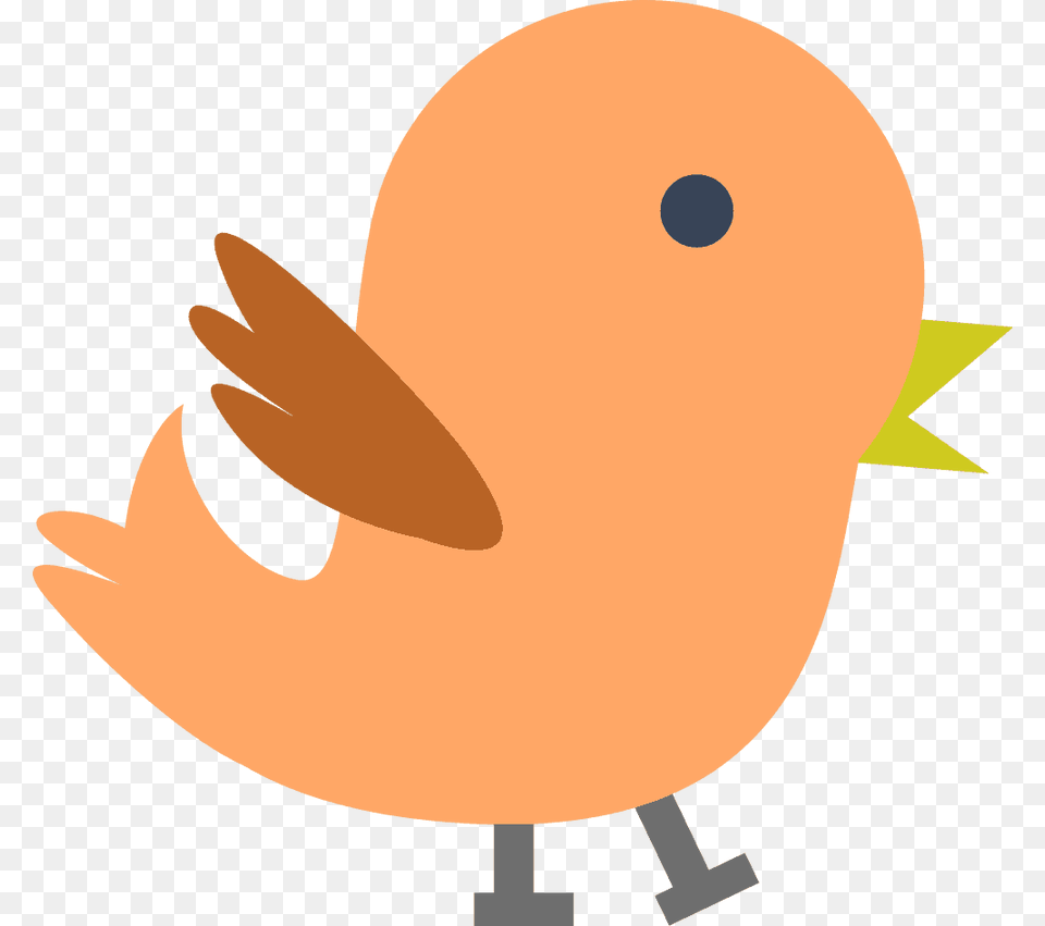 Baby Bird Clipart, Animal Free Png