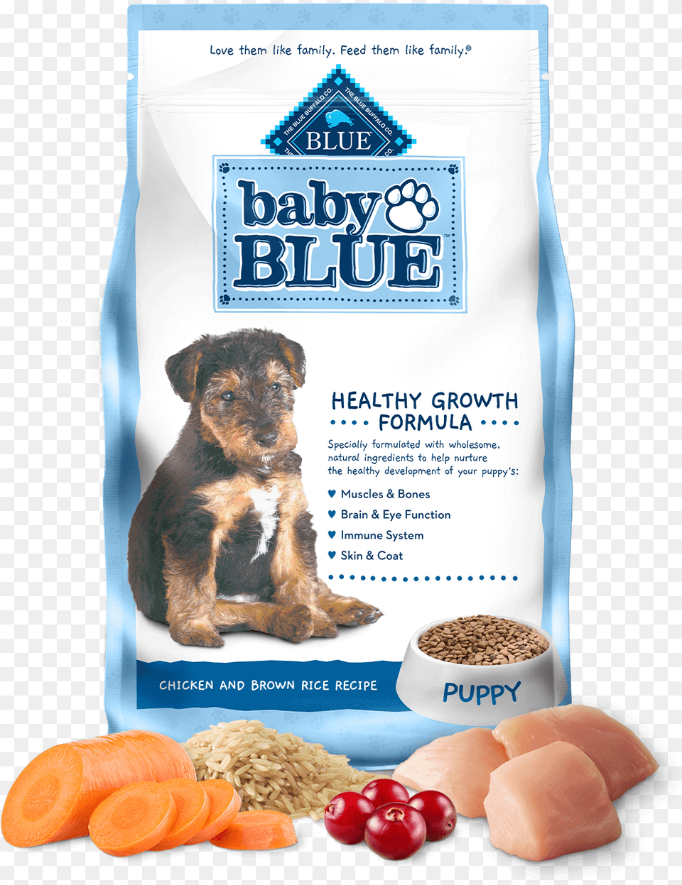 Baby Blue Chicken U0026 Brown Rice Puppy Food Buffalo Baby Blue Puppy Food, Animal, Pet, Mammal, Dog Png