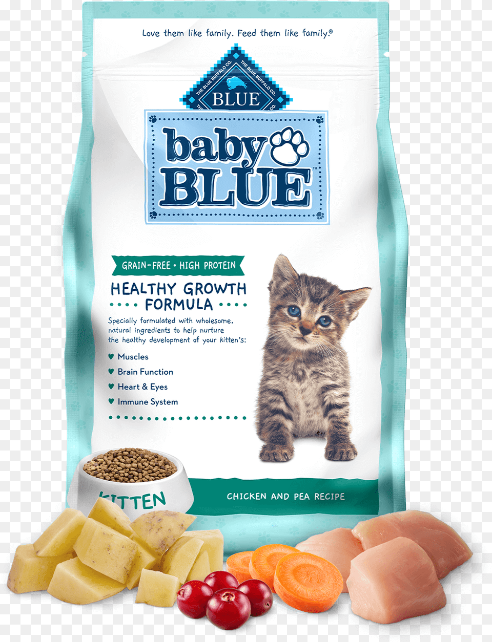 Baby Blue Kitten High Protein Grain Chicken Formula Blue Buffalo Co Ltd, Animal, Cat, Mammal, Pet Png