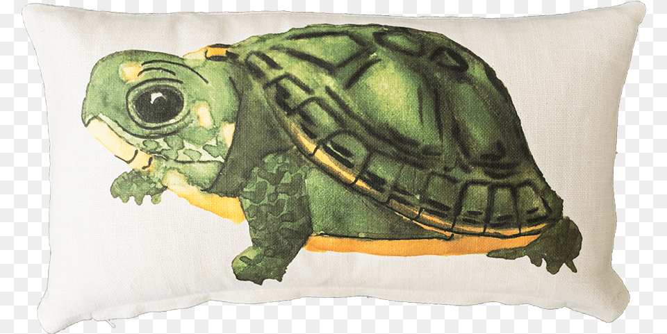 Baby Box Turtle Galpagos Tortoise, Cushion, Home Decor, Animal, Reptile Free Png Download